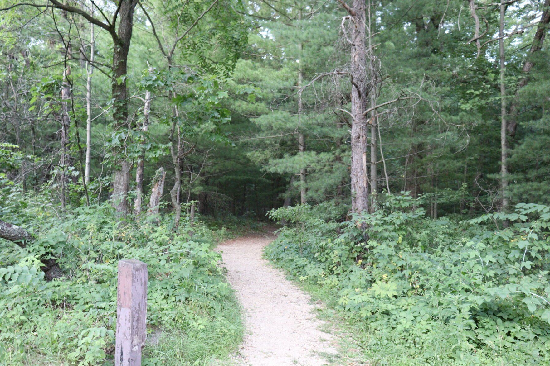 Mill Bluff State Park